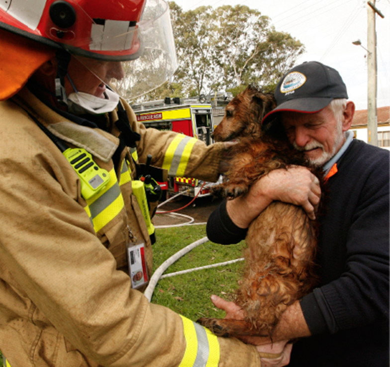 Newcastle firefighter rescuing family's pet