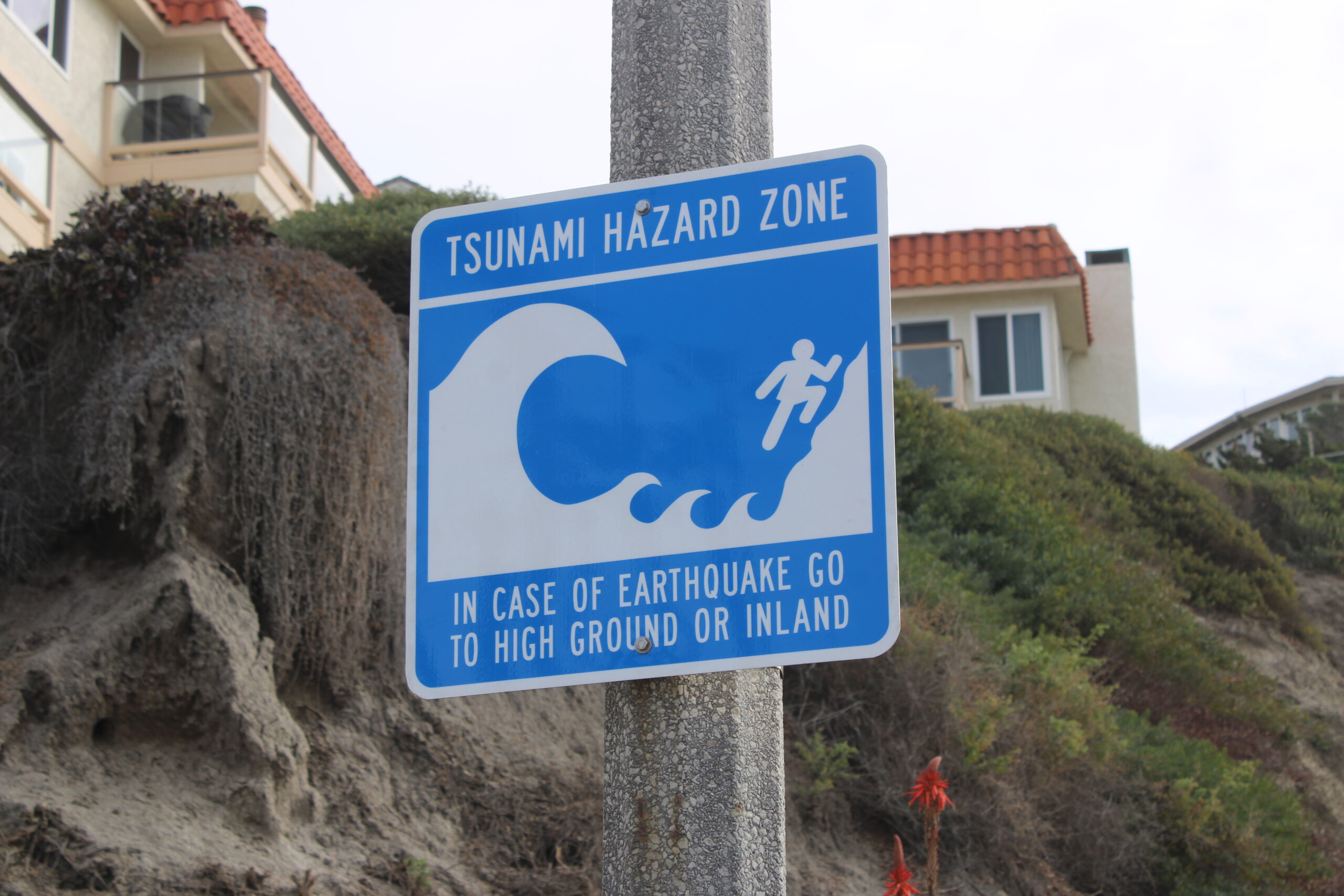 Tsunami - TsunamiPalmSign