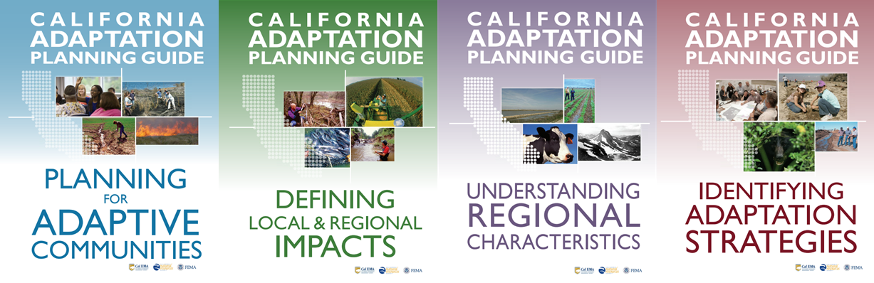 Side-by-side covers of the 4 parts of the 2012 APG