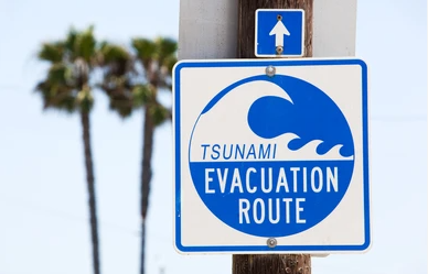 Tsunami - TsunamiPalmSign