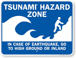 Tsunami - image2