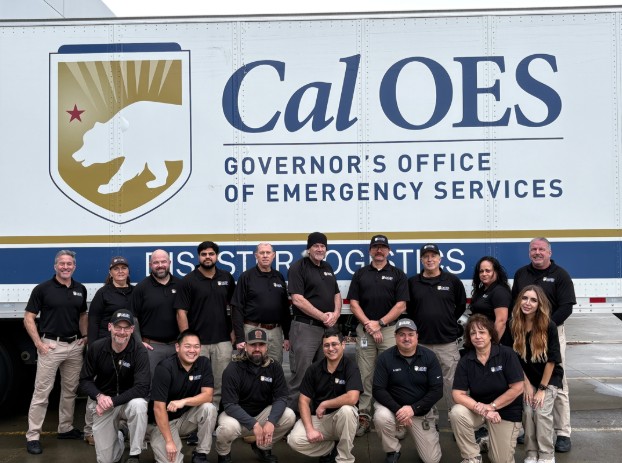 Images - dlft team photo