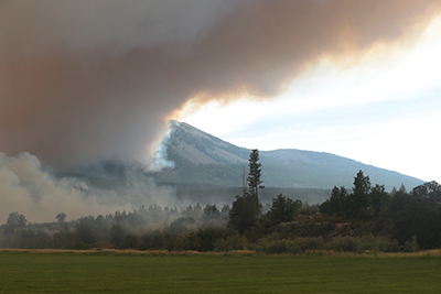 Shasta County Fire Activity (Eiler Fire)