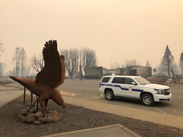 Smoky view from a forest fire